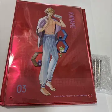 브라콤 스이파라 복권 A상 아크릴 아트 패널 요