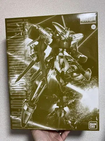 MG 1/100 백식 개