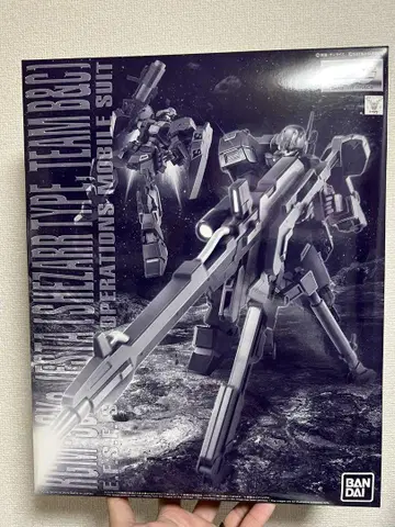 MG 1/100 제스타 (셰자르대 사양 B&C반 장비)