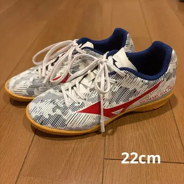 가격 인하 Mizuno 모나르시다 네오 22cm 실내용 실내화