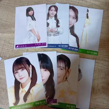 사카미치 시리즈 아이돌 사진 세트