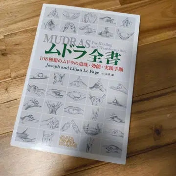 무드라 전서 108 종류의 무드라 의미 효능 실천 절차