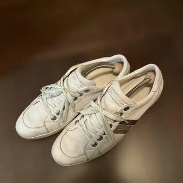돌체앤가바나 스니커즈
