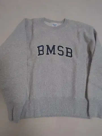 Champion BEAMSBOY 별주 REVERSE WEAVE SWEAT