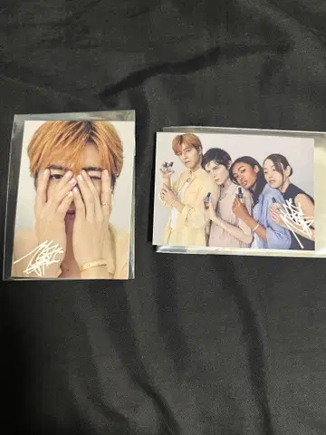 초특급 타카시 트레이딩 카드 Freecus pop up 2장 세트