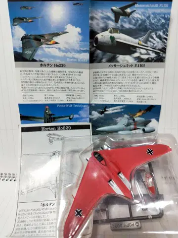 호르텐 Ho 220