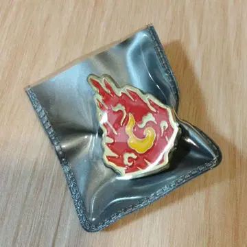 라이브러리 오브 루이나 리우 협회 핀 배지