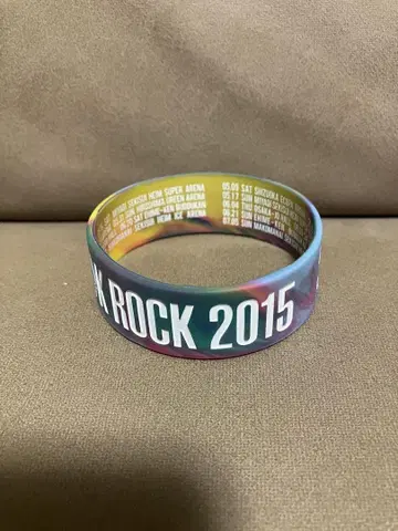 ONE OK ROCK 러버 밴드 2015
