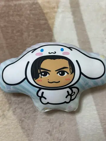 EXILE TETSUYA 시나모롤 쿠션