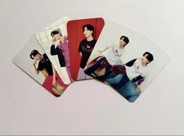 Noeul Magenta x NegaC 카드 세트 A