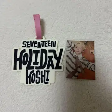 SEVENTEEN 호시 HOLIDAY 러기지 택