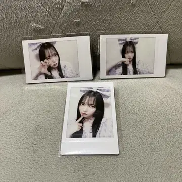 큐스트 마나베 폴라로이드