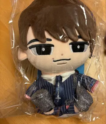새상품 미개봉 와타나베 쇼타 봉제 인형 약 20cm