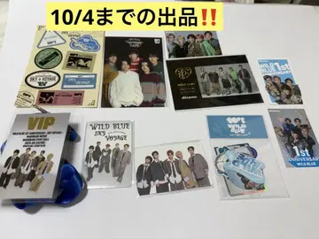 WILDBLUE 스티커