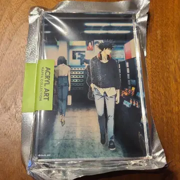 주술회전 아크릴 아트 후시구로 메구미 (대교류전) mappa