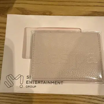 aespa 카드 케이스 클리어 명함 사이즈
