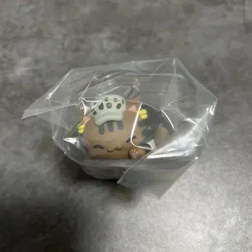 원피스 오야스미냥피스 트라팔가 D 로