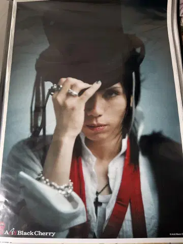 Acid Black Cherry 포스터 8장