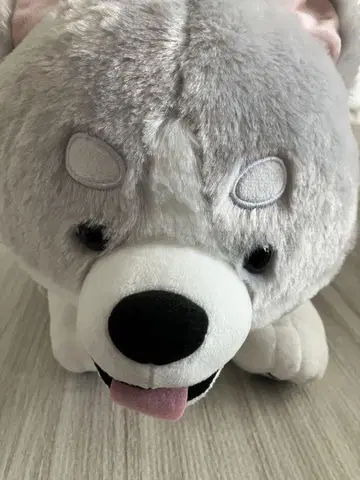 FANS 허스키 강아지 봉제 인형 XL 프리미엄