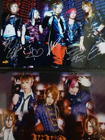 ViViD SHIN 사진