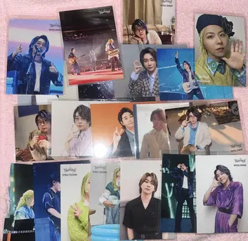 미세스 사진 카세트
