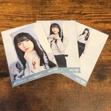 [ 최저가 ] 이케다 에이사 고양이 귀 컴프