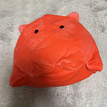 BIG 메다코4