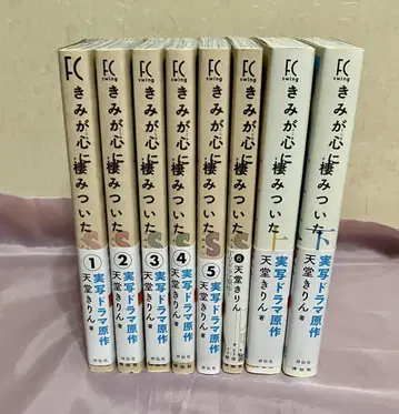 네가 마음에 둥지를 틀었어 1~6권 상하권 세트
