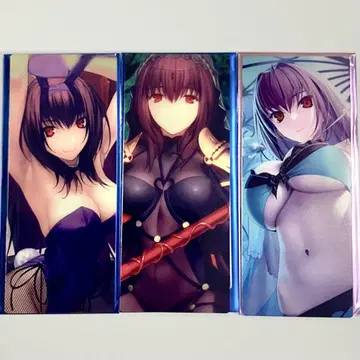 FGO 최종 재림전 편성 화면풍 카드 스카사하 스카디 3점