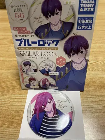 SIMILAR LOOK 치기리 효마 캔뱃지