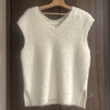 anySIS 페더 베스트