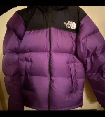 THE NORTH FACE 다운 자켓 눕시