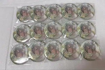 시호 배지 특훈 후 15점