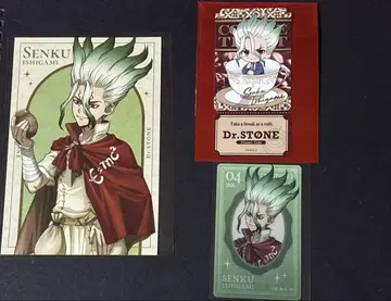 Dr.STONE 닥스토 센쿠 굿즈