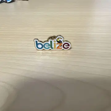 오사카 엑스포 베리즈 핀 배지