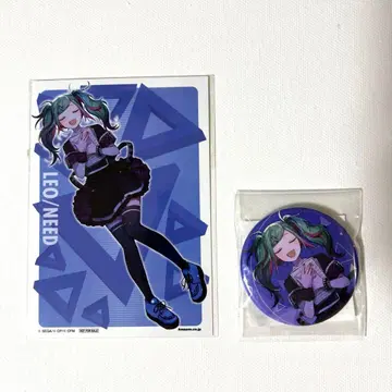 프로세카 레오니미크 세트 판매