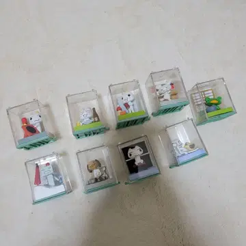 도코데모 잇쇼 트로 포켓 월드