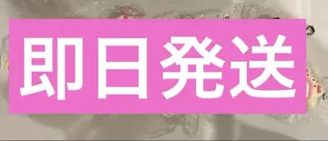 미니 스퀴즈 찰싹찰싹