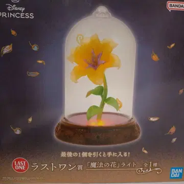 disney 제일복권 라스트 원