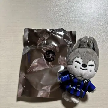 스키즈 카르마 SKZOO반 울프찬