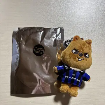 스키즈 카르마 SKZOO반 한쿼카