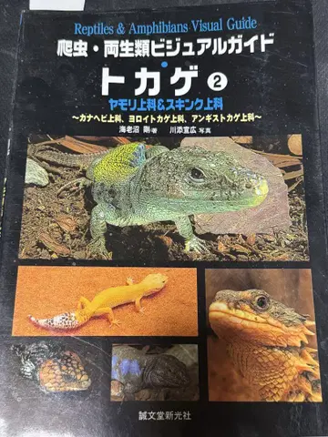 파충류 양서류 비주얼 가이드 도마뱀 2