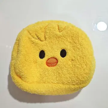 straykids 필릭스 BbokAri 파우치