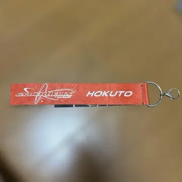 요시노 호쿠토 빅 백 택