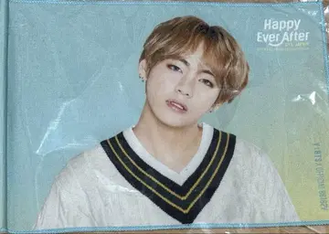 BTS V 테테 태현 플래그
