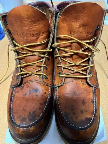 레어 개 각인 Red Wing 브라운