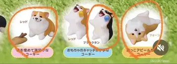 코기 산책 코기 3세트