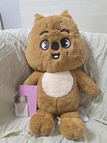 한쿼카 테디베어 skzoo 특전 트레이딩 카드 포함