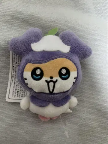 TWICE GIGO 서브리