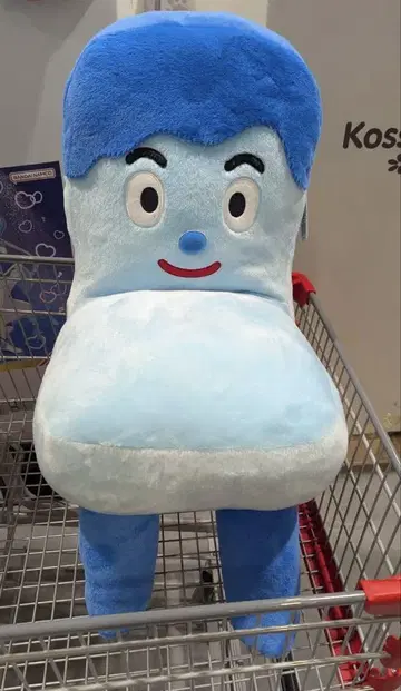 택 포함 새상품 코시 미이츠케타 봉제 인형 코스트코